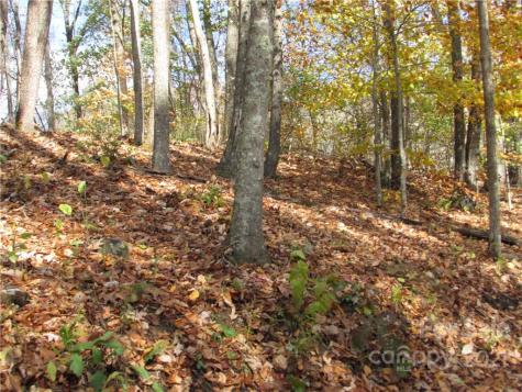 00 Red Wolf Run Mars Hill NC 28754
