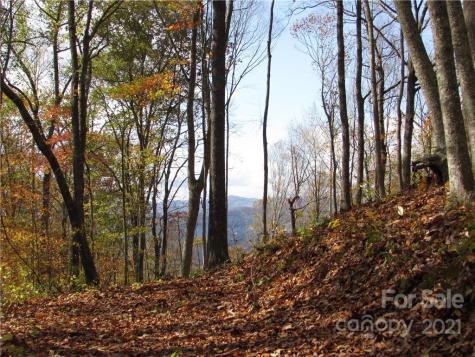 00 Red Wolf Run Mars Hill NC 28754