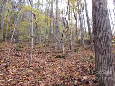 00 Red Wolf Run Mars Hill NC 28754