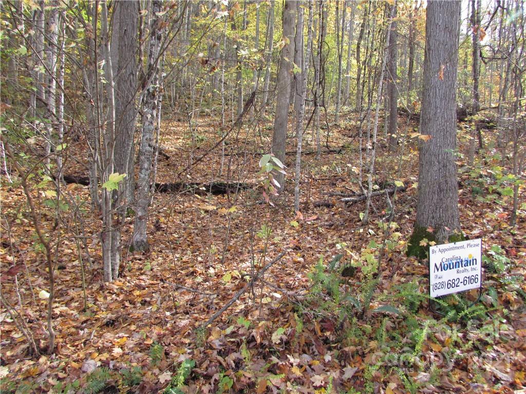 00 Red Wolf Run Mars Hill NC 28754