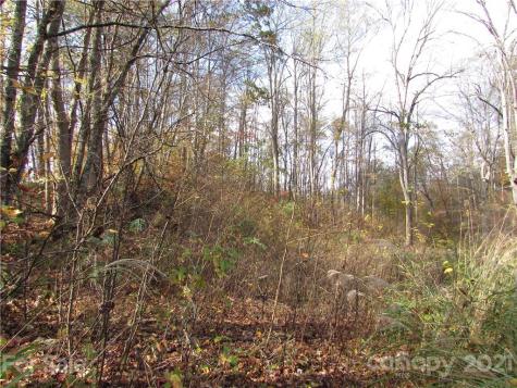 00 Red Wolf Run Mars Hill NC 28754
