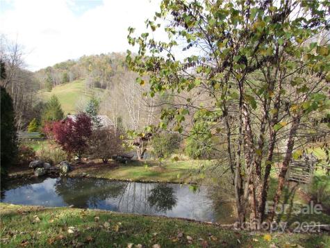 00 Red Wolf Run Mars Hill NC 28754