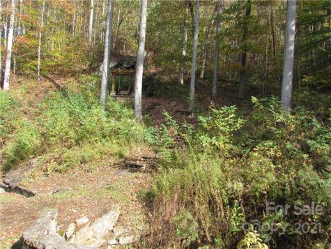 00 Red Wolf Run Mars Hill NC 28754
