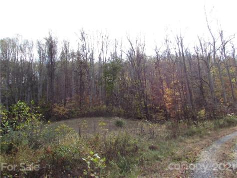 00 Red Wolf Run Mars Hill NC 28754