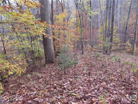 00 Red Wolf Run Mars Hill NC 28754