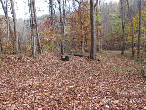 00 Red Wolf Run Mars Hill NC 28754