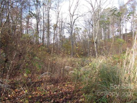 00 Red Wolf Run Mars Hill NC 28754