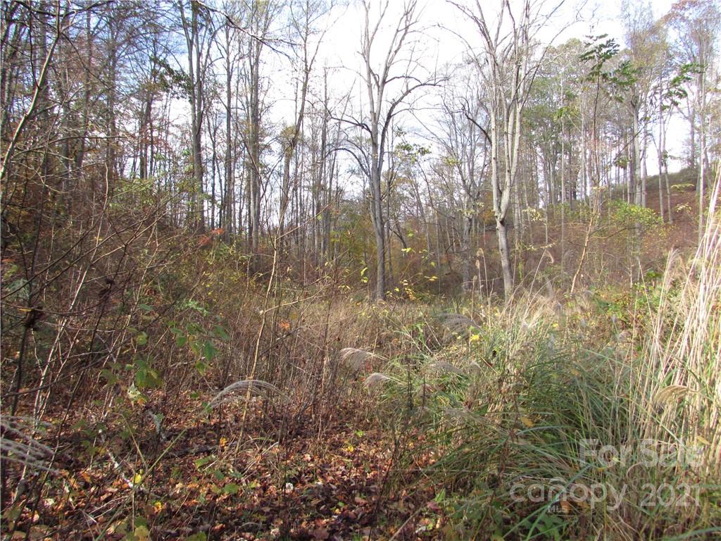 00 Red Wolf Run Mars Hill NC 28754