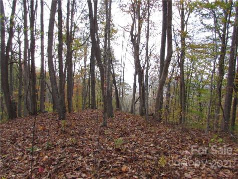 00 Red Wolf Run Mars Hill NC 28754