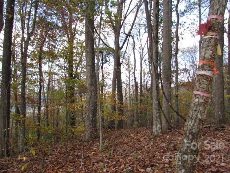 00 Red Wolf Run Mars Hill NC 28754