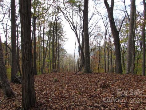 00 Red Wolf Run Mars Hill NC 28754