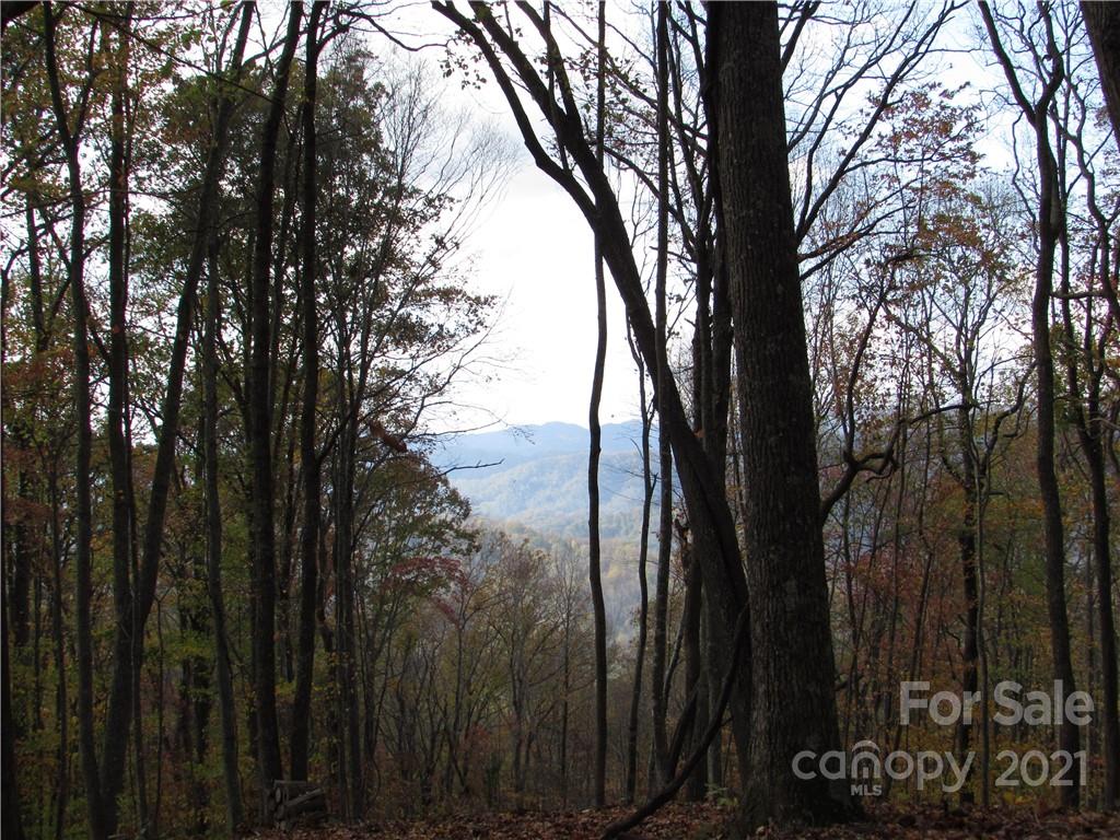 00 Red Wolf Run Mars Hill NC 28754