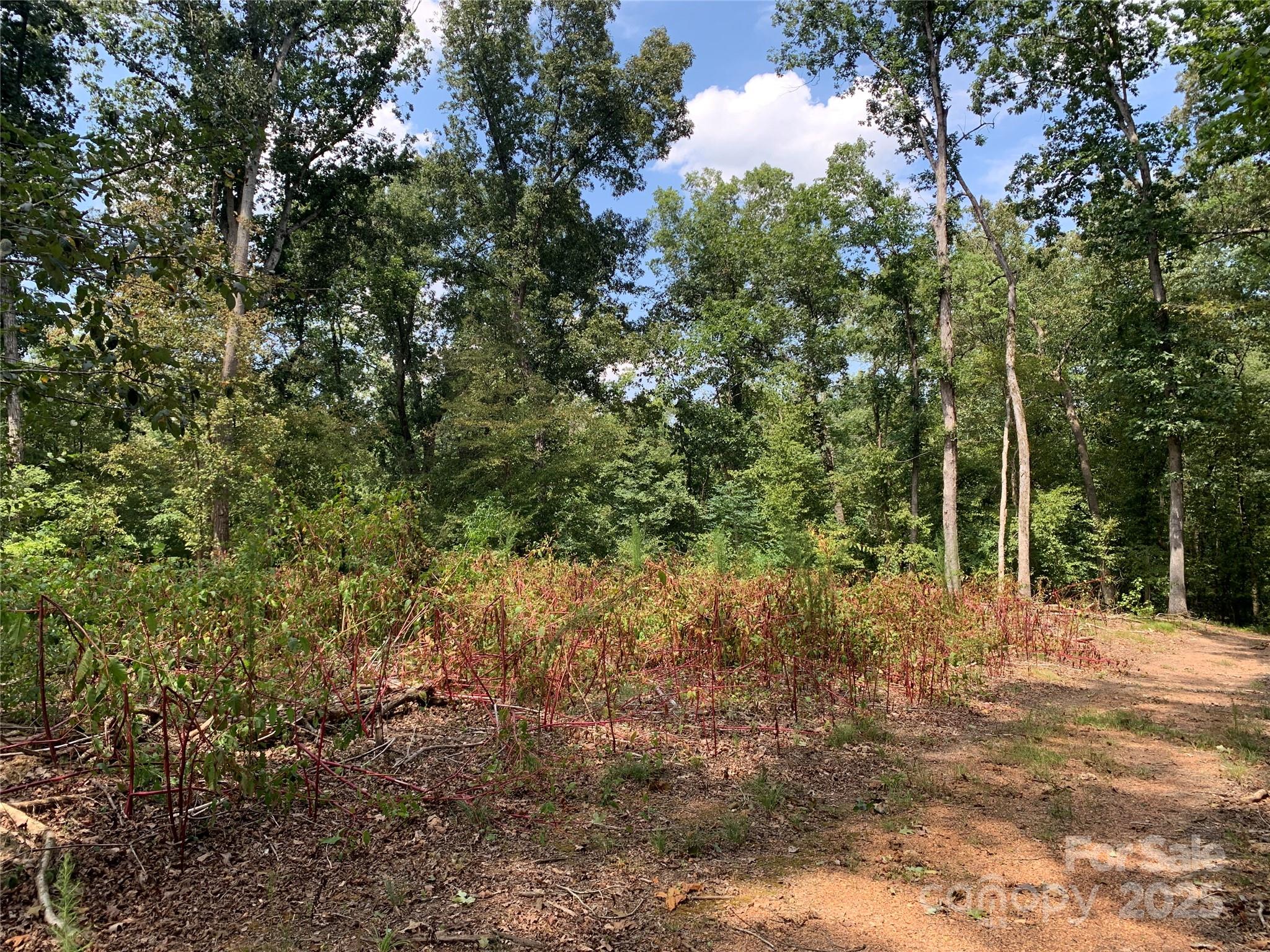 7718 Pleasant Hill Church Road Marshville NC 28103