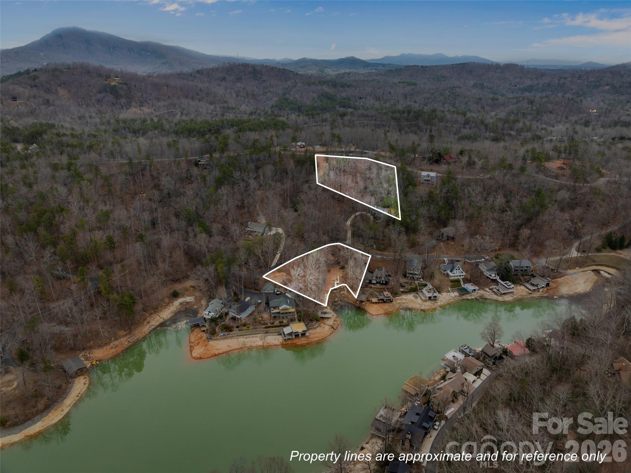 0 Buffalo Shoals Road Lake Lure NC 28746