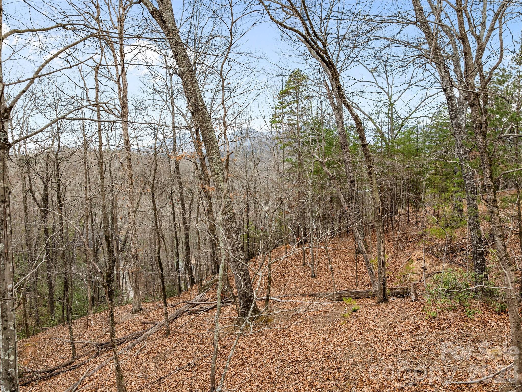0 Buffalo Shoals Road Lake Lure NC 28746