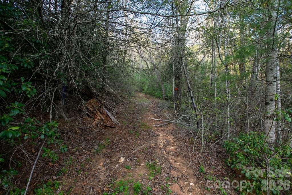 Off Diamond Creek Road Lake Toxaway NC 28747