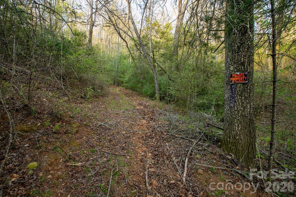Off Diamond Creek Road Lake Toxaway NC 28747