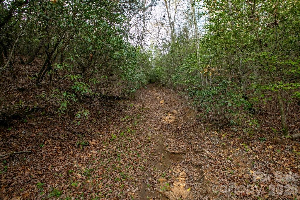 Off Diamond Creek Road Lake Toxaway NC 28747