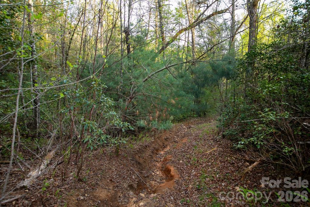 Off Diamond Creek Road Lake Toxaway NC 28747