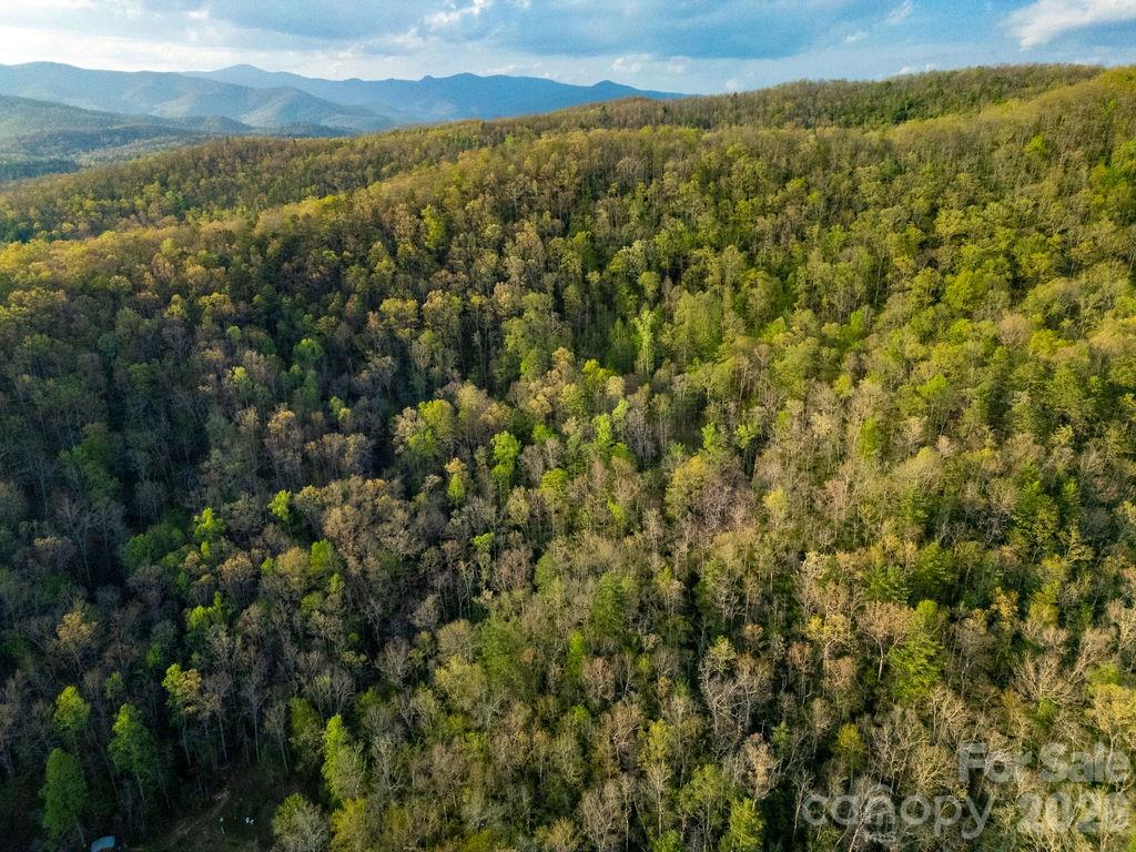 Off Diamond Creek Road Lake Toxaway NC 28747