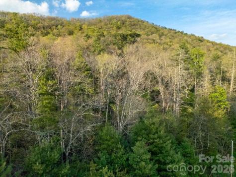 Off Diamond Creek Road Lake Toxaway NC 28747