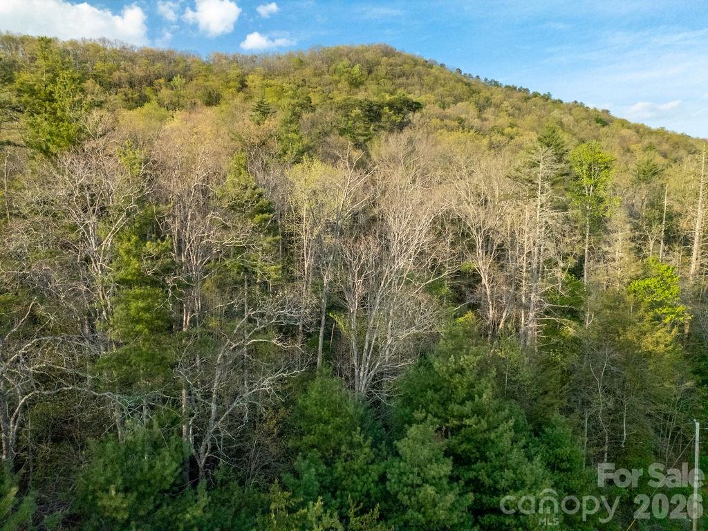 Off Diamond Creek Road Lake Toxaway NC 28747
