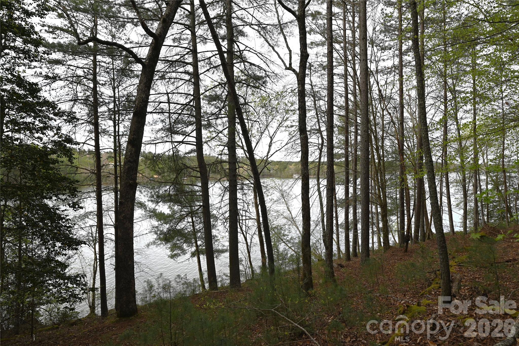 2299 Lighthouse Lane Connelly Springs NC 28612