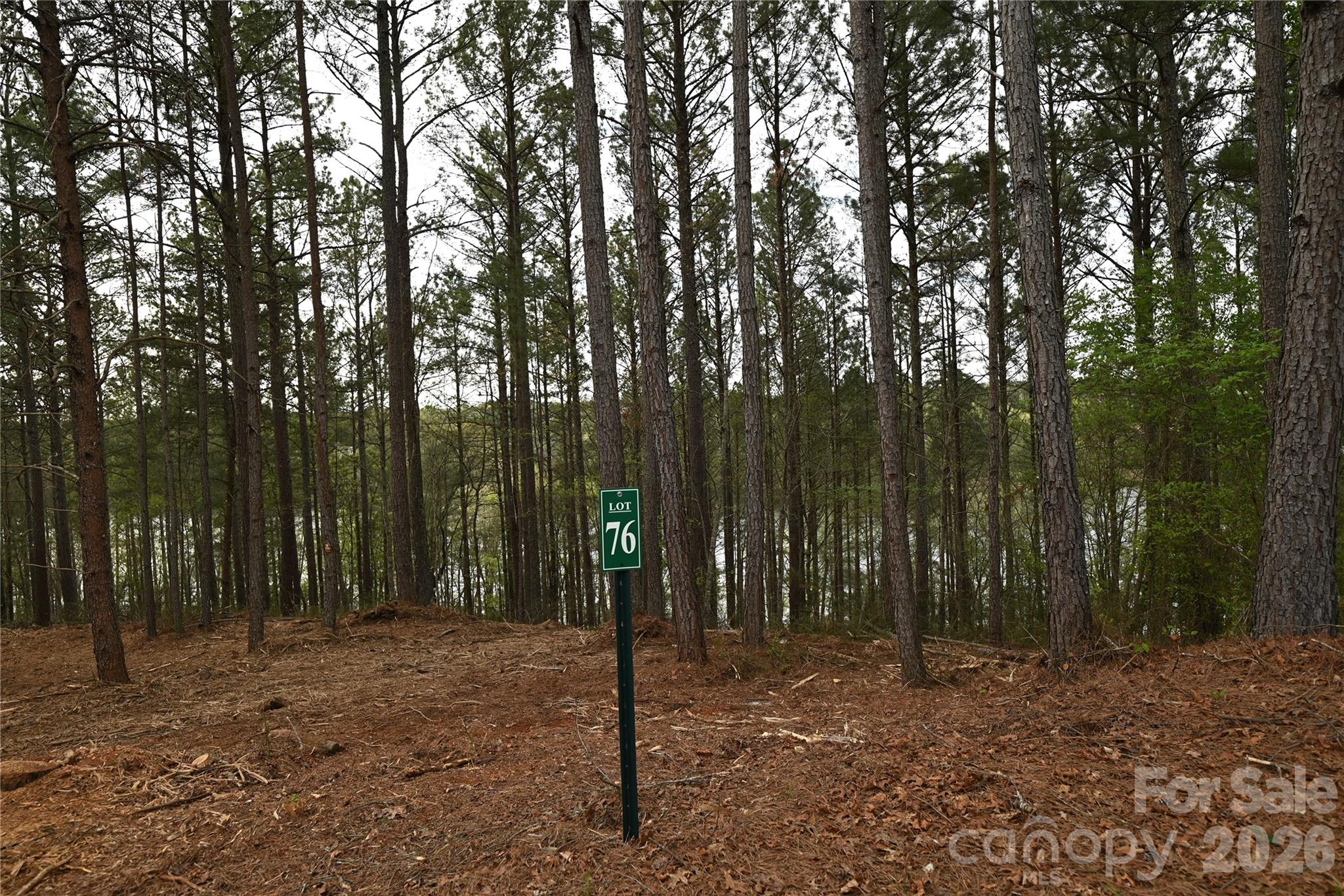 2299 Lighthouse Lane Connelly Springs NC 28612