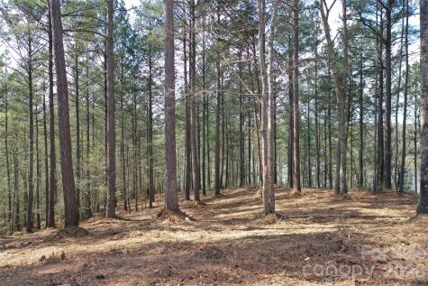 2299 Lighthouse Lane Connelly Springs NC 28612