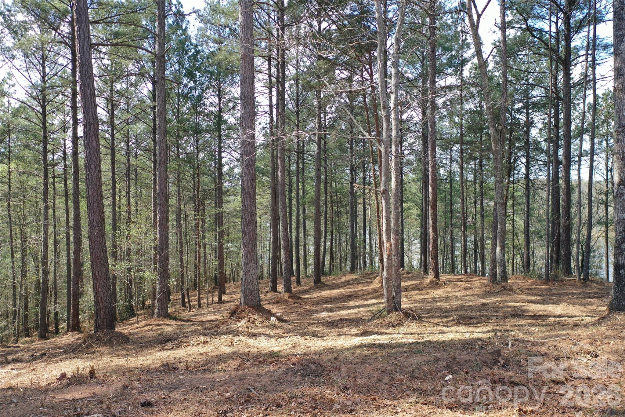 2299 Lighthouse Lane Connelly Springs NC 28612
