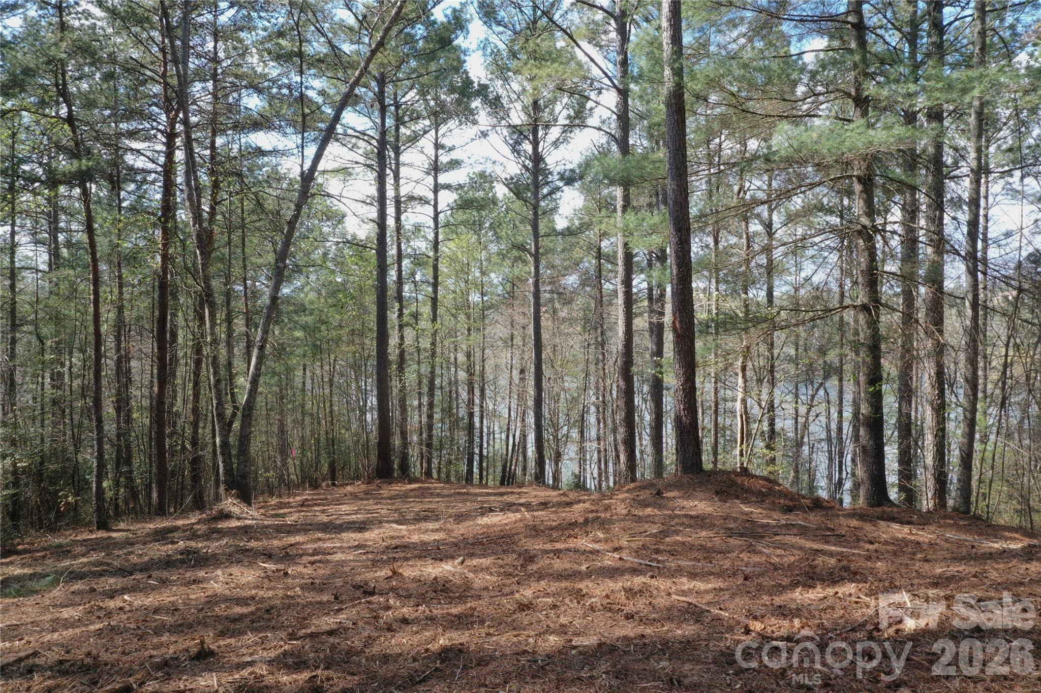 2299 Lighthouse Lane Connelly Springs NC 28612
