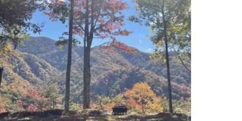 241 Bloom Trail Sylva NC 28779