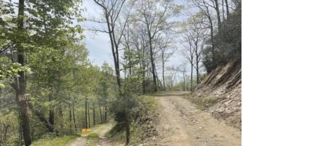 241 Bloom Trail Sylva NC 28779