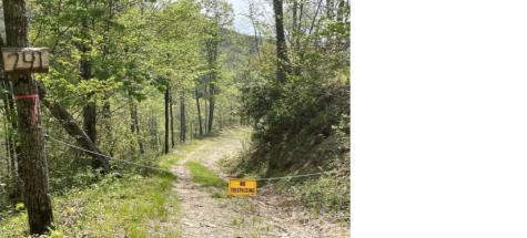 241 Bloom Trail Sylva NC 28779