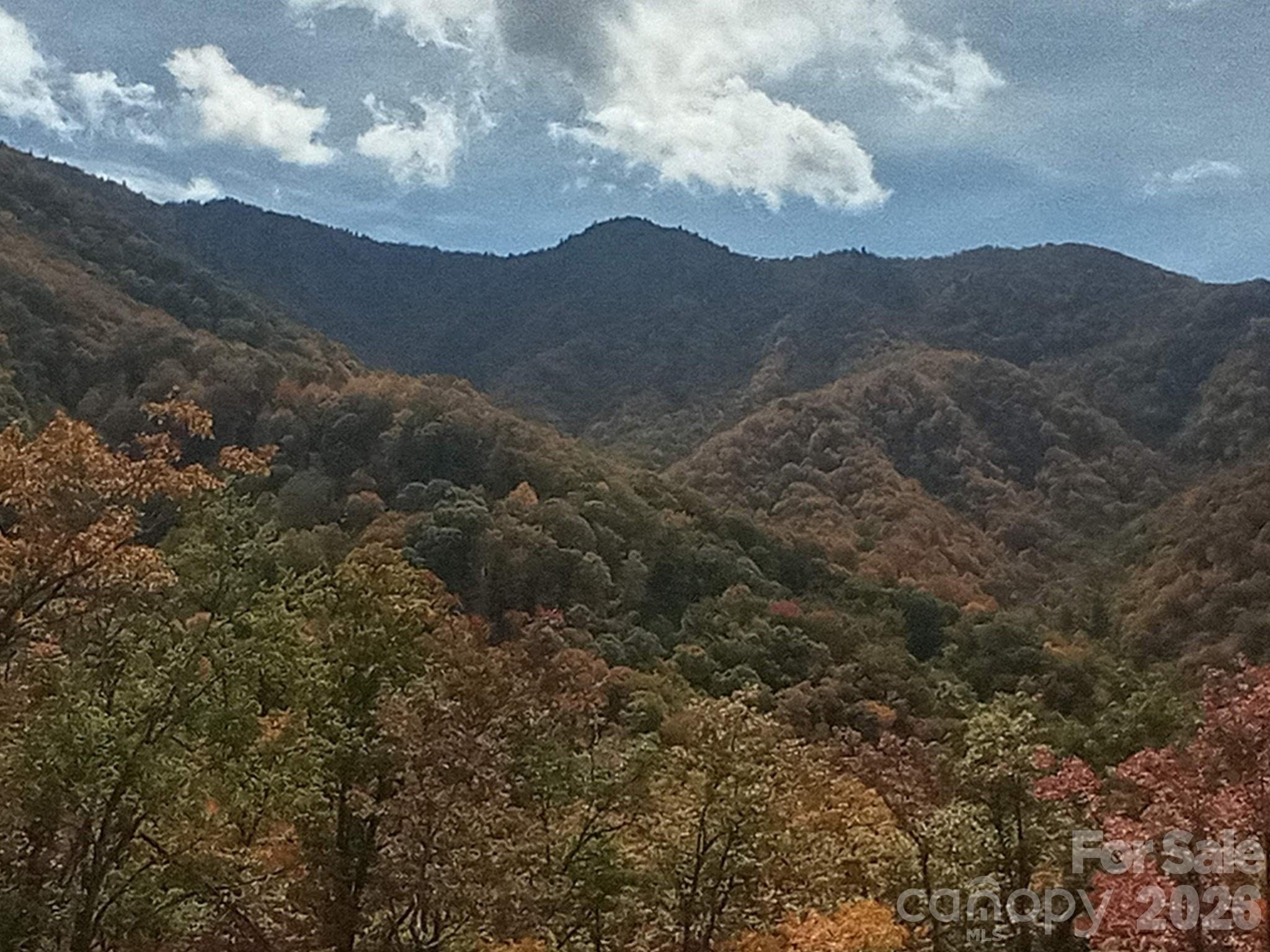 241 Bloom Trail Sylva NC 28779