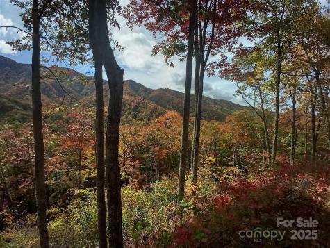 241 Bloom Trail Sylva NC 28779