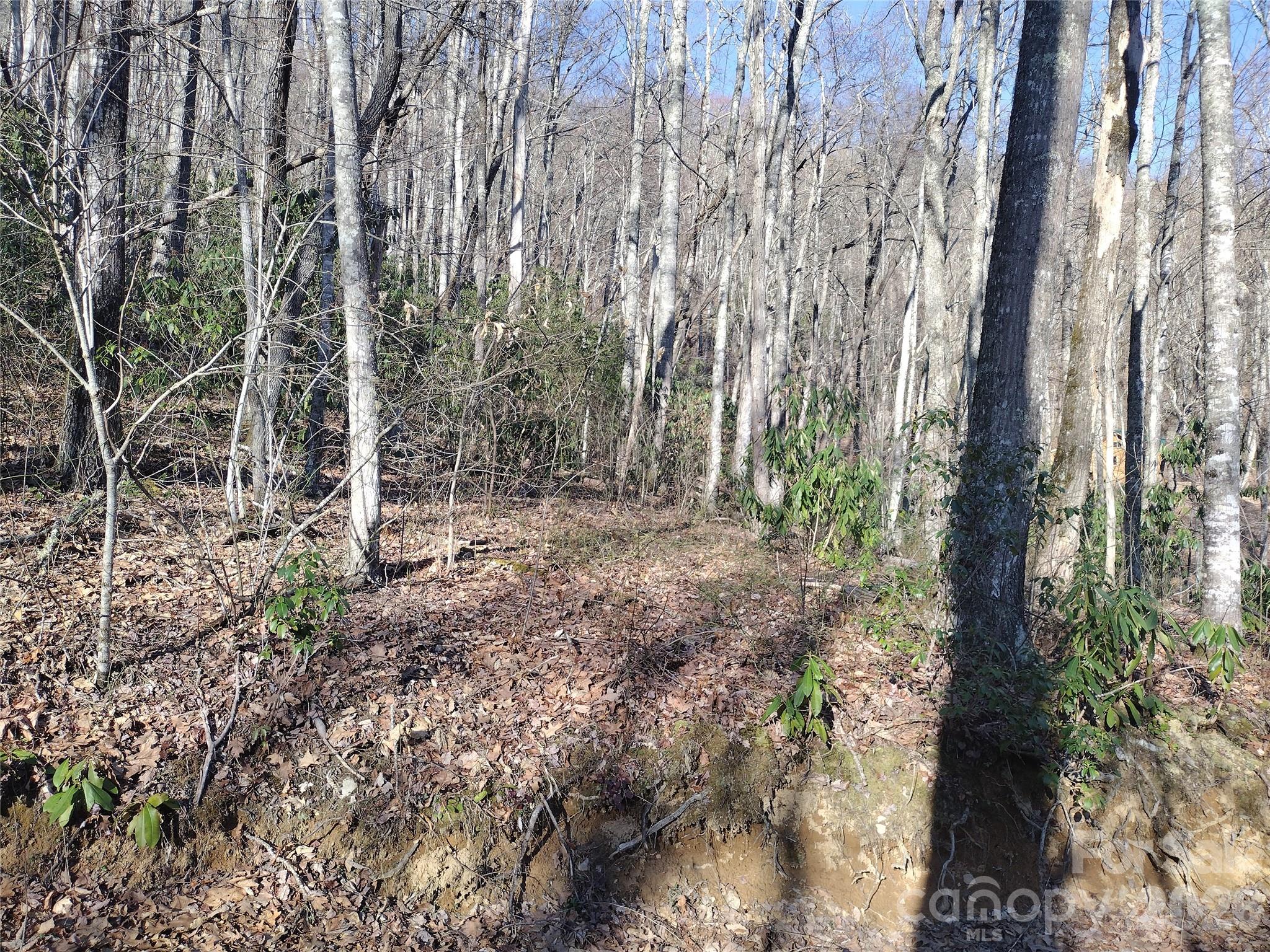 241 Bloom Trail Sylva NC 28779