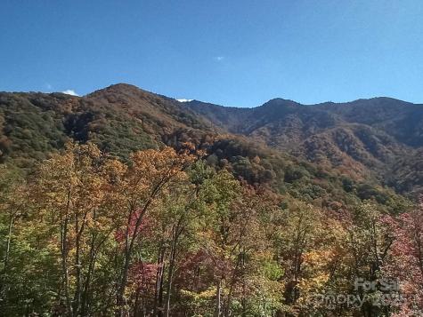 241 Bloom Trail Sylva NC 28779