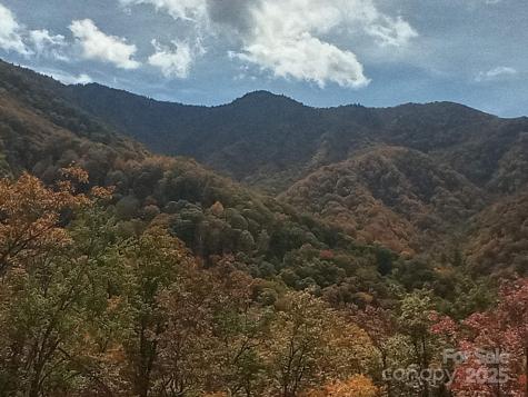 241 Bloom Trail Sylva NC 28779