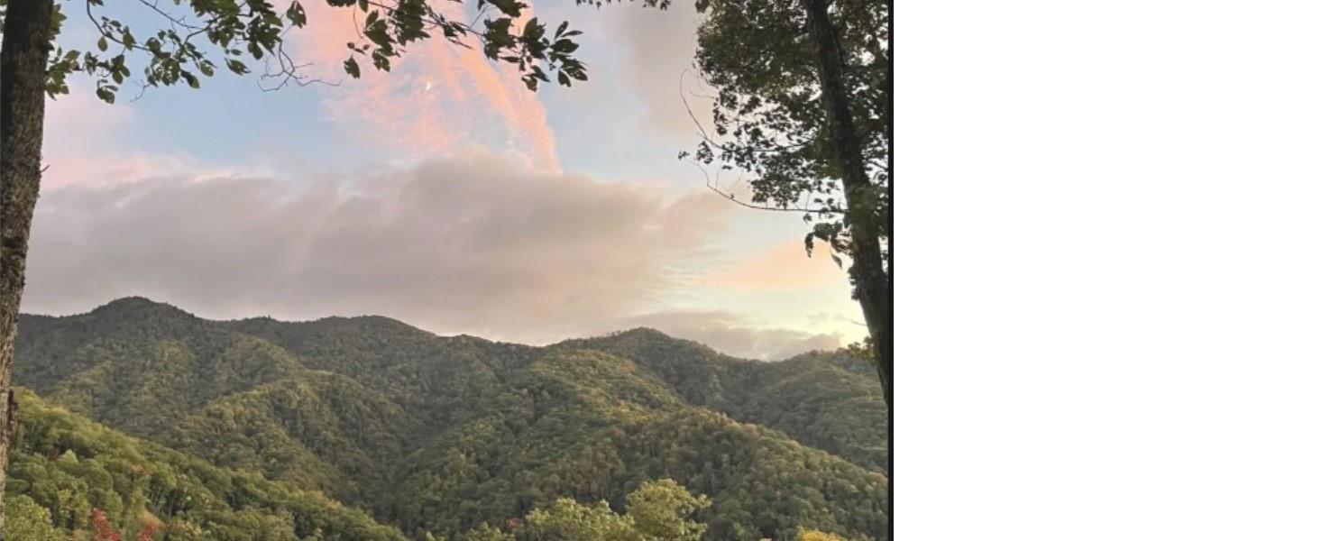 241 Bloom Trail Sylva NC 28779
