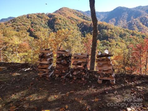 241 Bloom Trail Sylva NC 28779