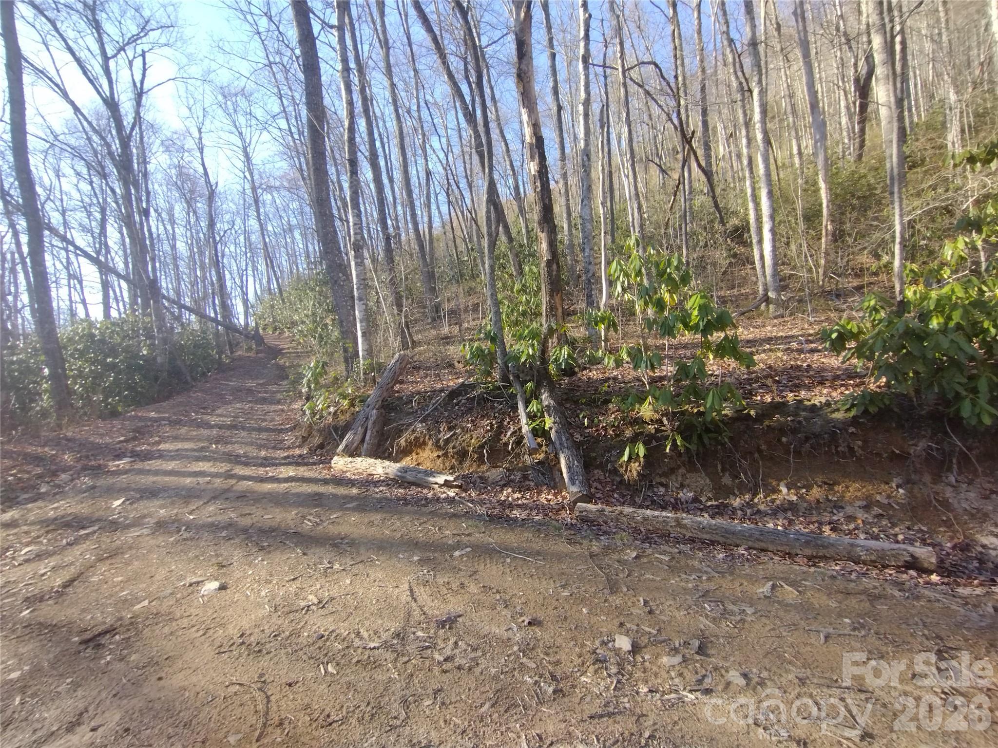 241 Bloom Trail Sylva NC 28779