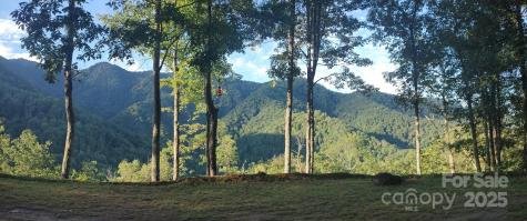 241 Bloom Trail Sylva NC 28779