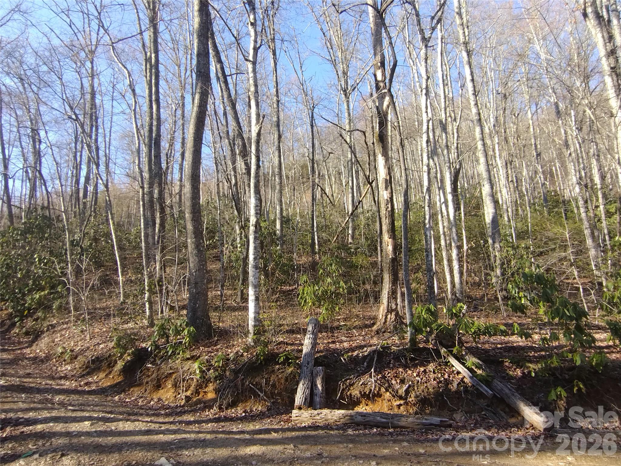 241 Bloom Trail Sylva NC 28779