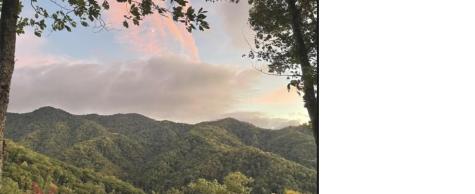 241 Bloom Trail Sylva NC 28779