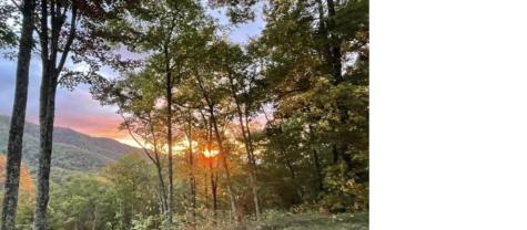 241 Bloom Trail Sylva NC 28779