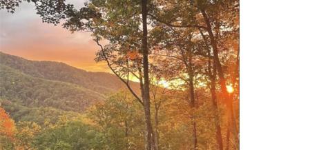 241 Bloom Trail Sylva NC 28779