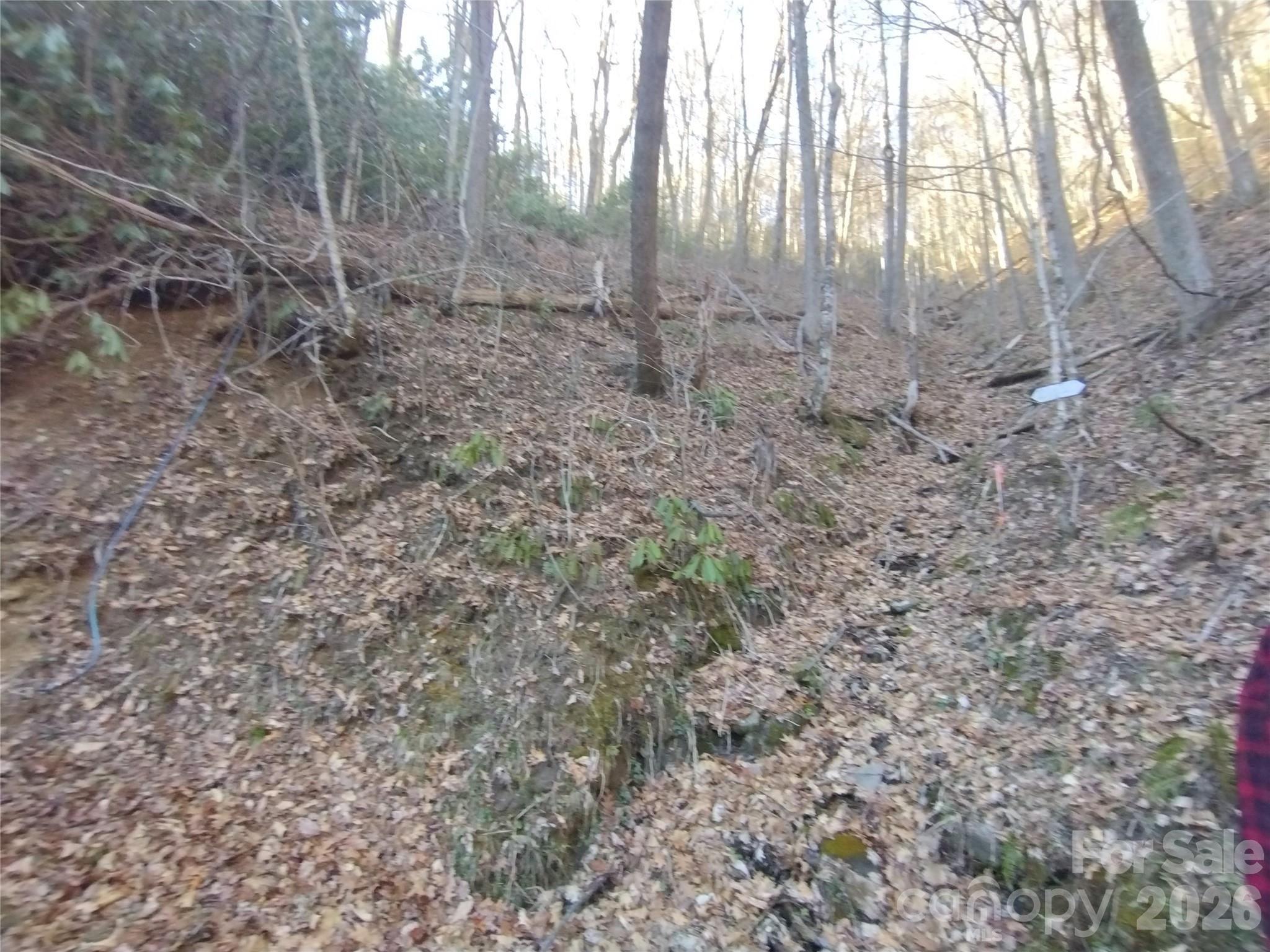 241 Bloom Trail Sylva NC 28779