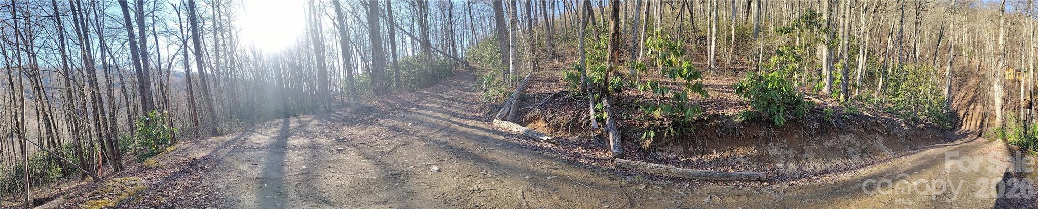 241 Bloom Trail Sylva NC 28779