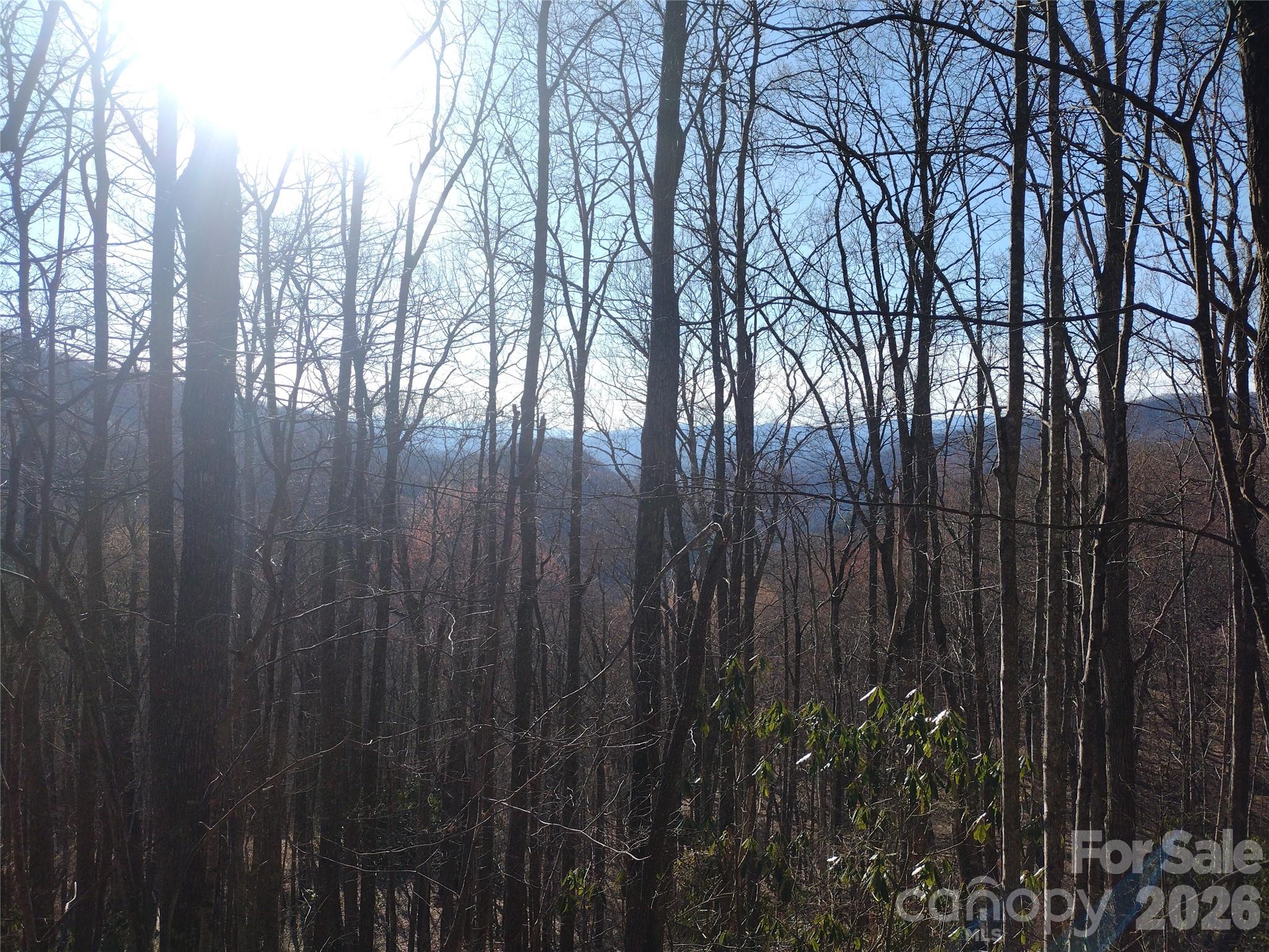241 Bloom Trail Sylva NC 28779